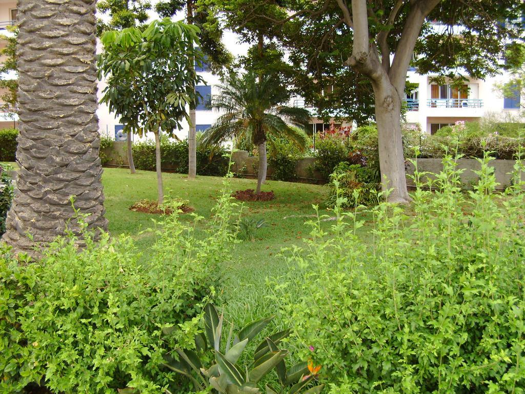 Apartment Casa Branca Apartments By Wanderlust Madeira, Vacation Rentals