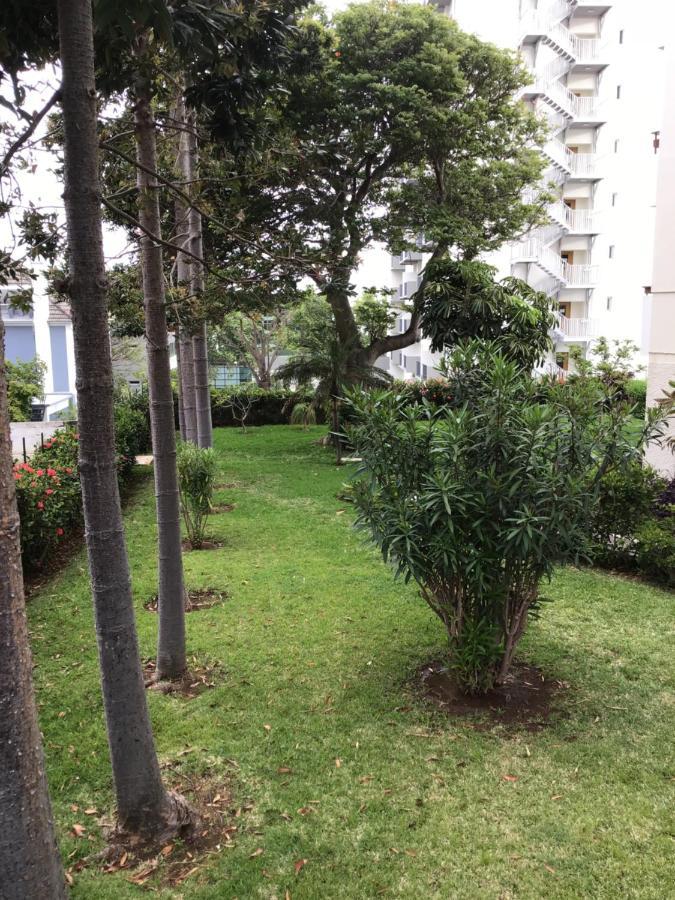Apartment Casa Branca Apartments By Wanderlust Madeira, Vacation Rentals